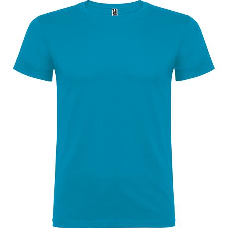 Camiseta Beagle Azul12